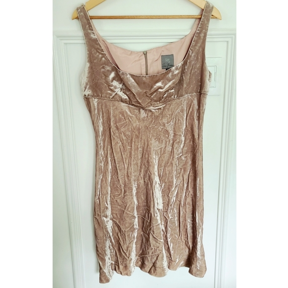 Vintage champagne velvet dress